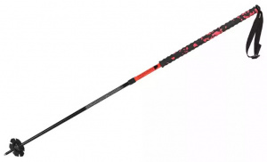 Trail Two Trekking Poles