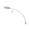 scjn14esb ecola led strip 220v connector кабель питания 150мм с муфтой и разъемом ip68 для ленты 14x7