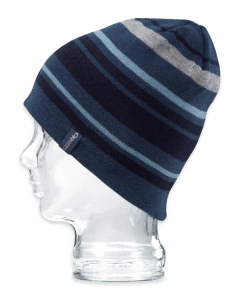 Vivid Beanie