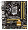 B85M-E ASUS B85M-E//LGA1150,B85(C2),4D3,HDMI,4U3,PCI ; 90MB0F60-M0EAY5